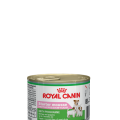 Royal Canin STARTER mousse